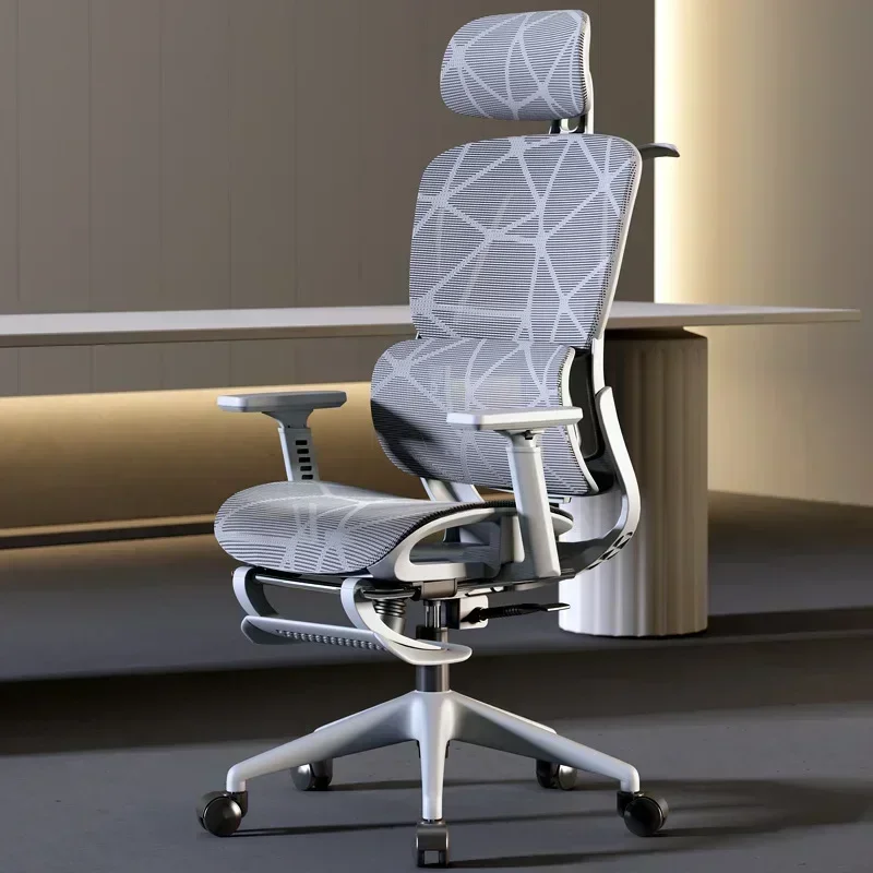 Stable Ergonomic Chair Home Co - Office Furniture Suppliers 评论和价格